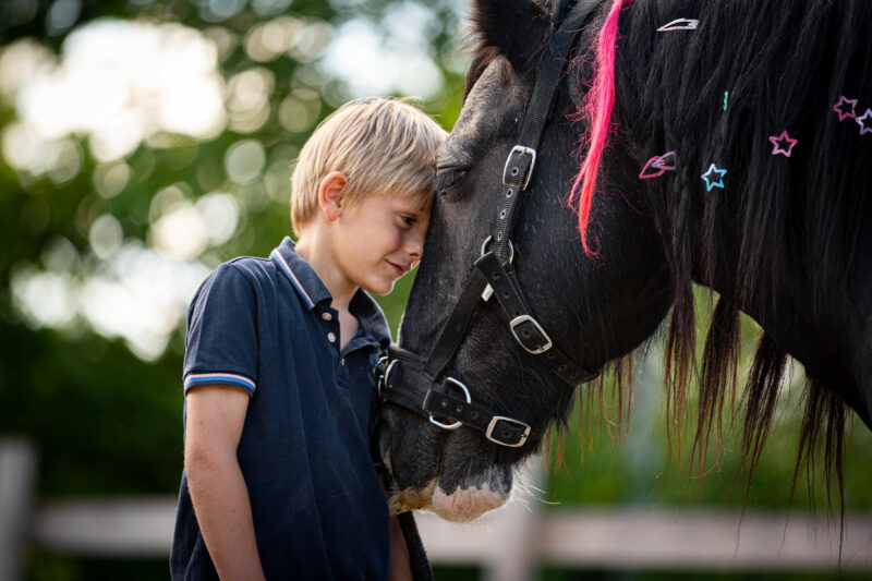Tierisches Sommercamp bei Philhippies – Zeit mit Pferden