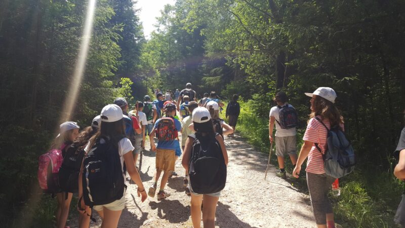 Forschercamp – WENN NATUR WISSEN SCHAFFT