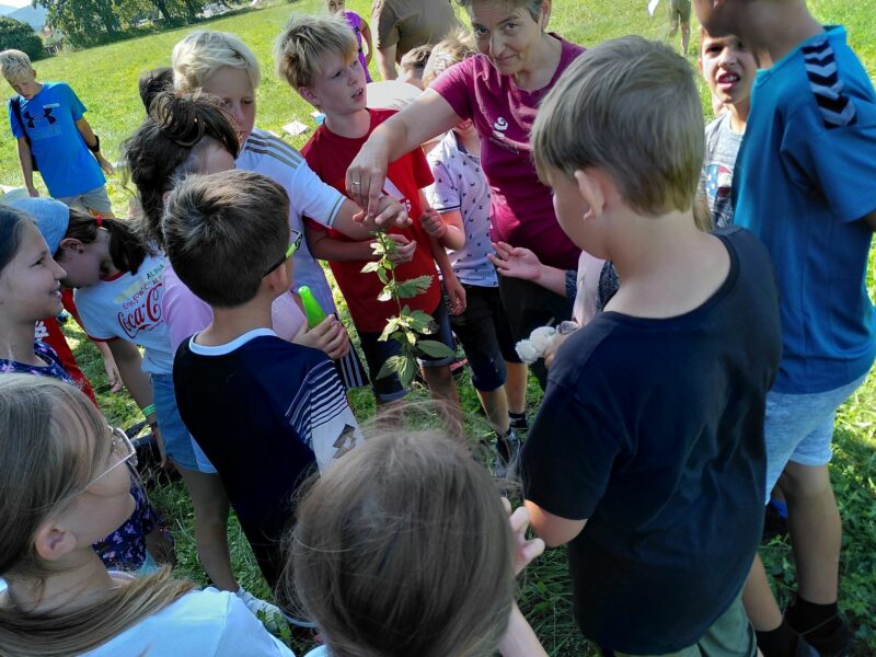 Naturerlebniscamp Sittersdorf