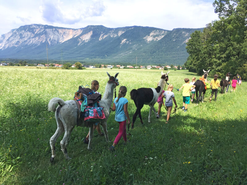 Natur-Erlebnis-Camp