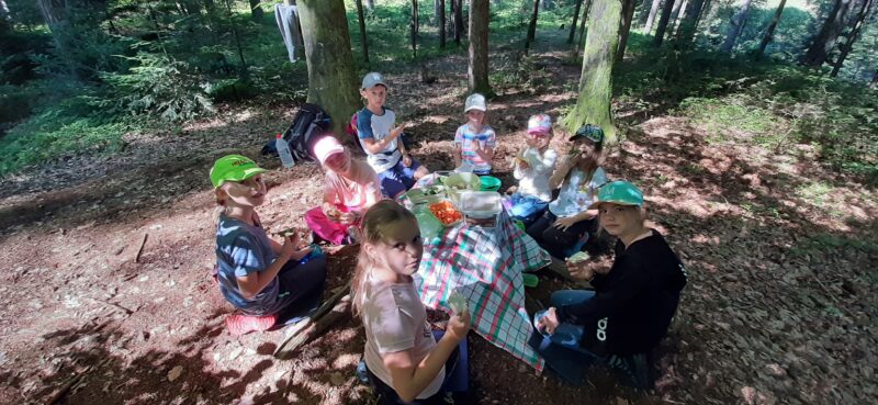 WaldWoche im WaldWerk