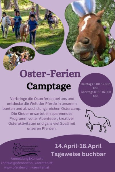 Ostercamp im Pferdestall
